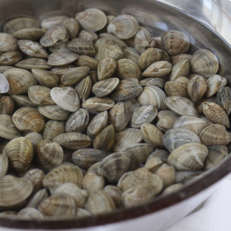 pulizia delle vongole