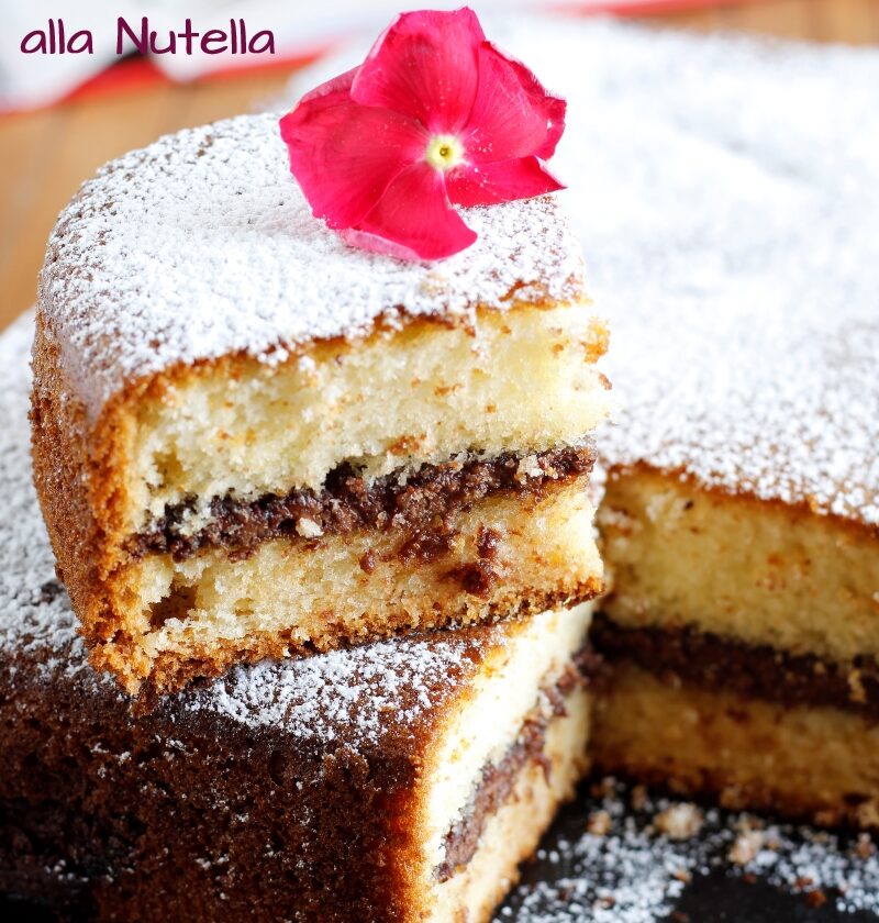 torta versata alla nutella