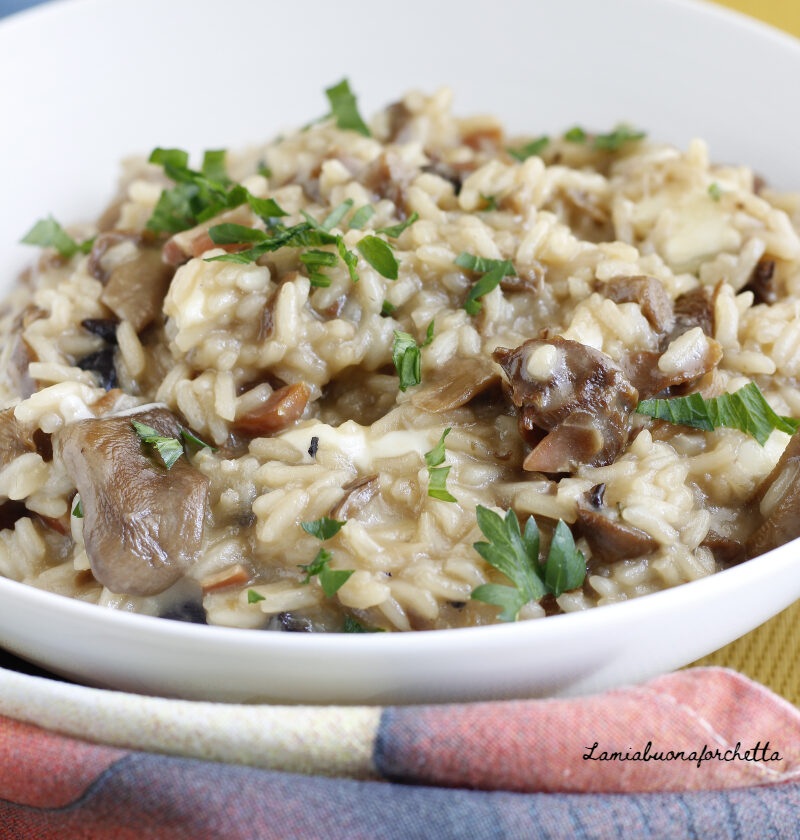 risotto ai funghi secchi e speck